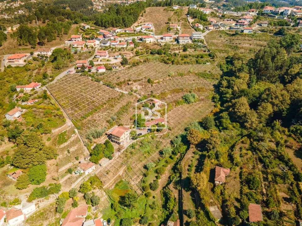 Quinta T0 para Venda em Santa Maria de Sardoura Foto 10