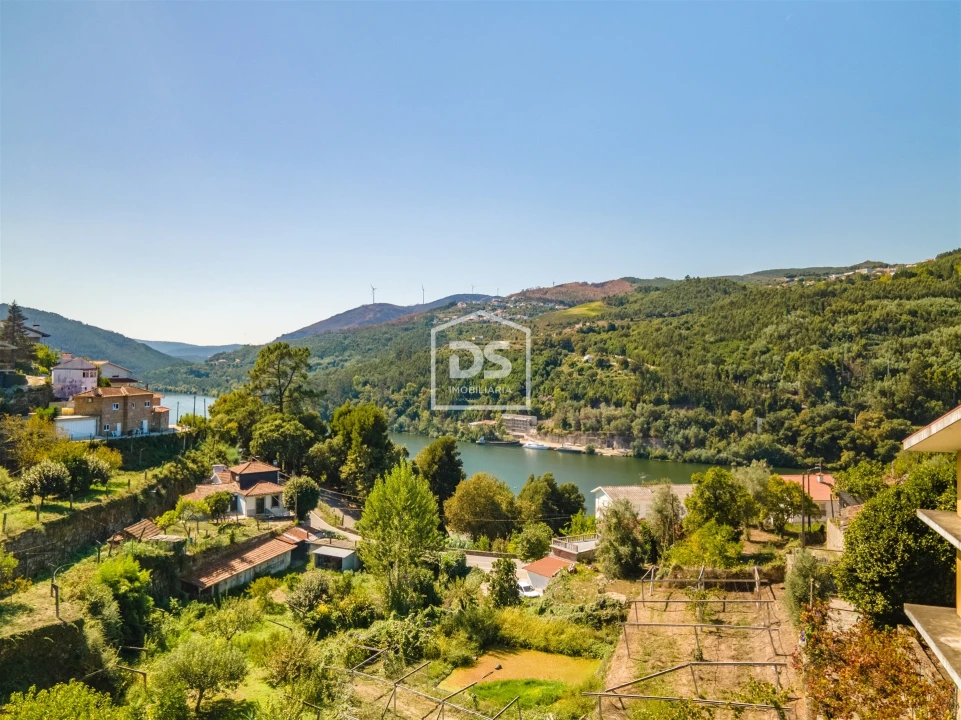 Quinta T0 para Venda em Santa Maria de Sardoura Foto 55