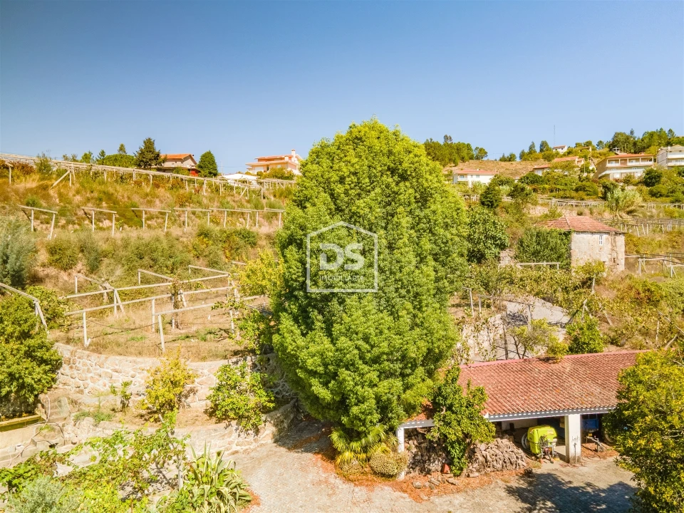 Quinta T0 para Venda em Santa Maria de Sardoura Foto 6
