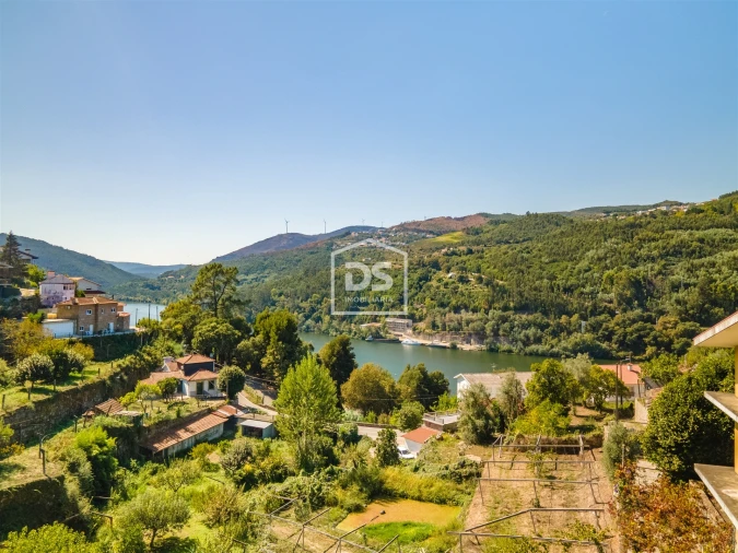 Quinta T0 para Venda em Santa Maria de Sardoura Foto 55