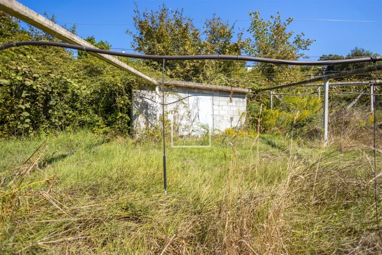 Quinta T0 para Venda em Santa Maria de Sardoura Foto 16