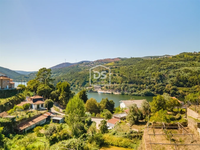 Quinta T0 para Venda em Santa Maria de Sardoura Foto 7