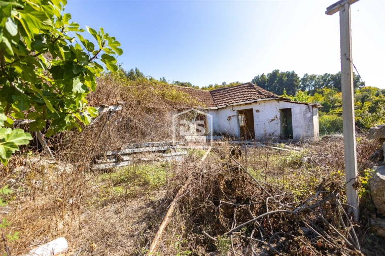 Quinta T0 para Venda em Santa Maria de Sardoura Foto 20