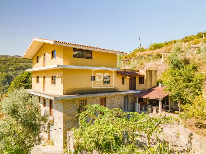 Quinta T0 para Venda em Santa Maria de Sardoura Foto 4