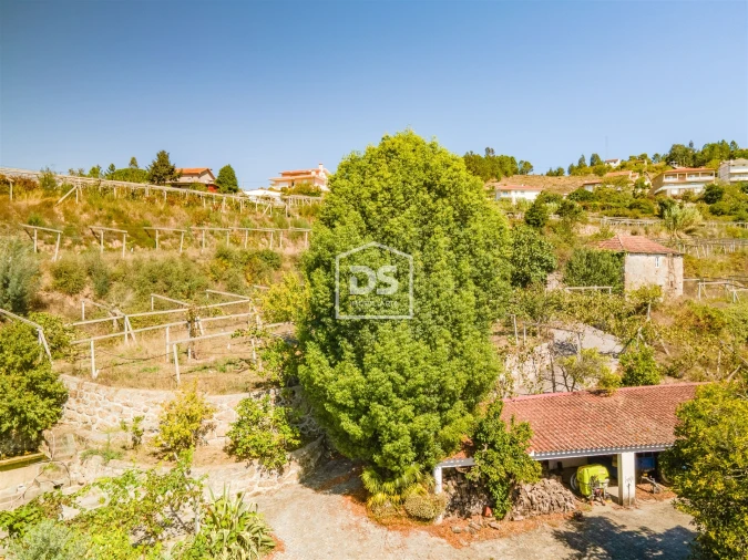 Quinta T0 para Venda em Santa Maria de Sardoura Foto 6