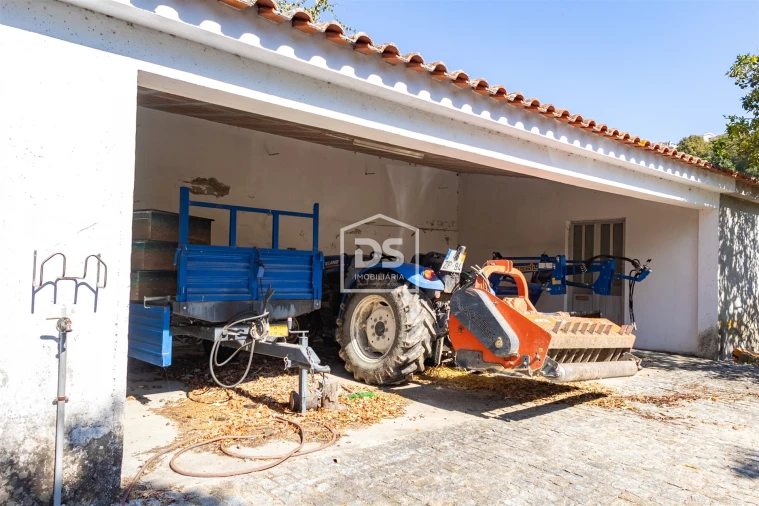 Quinta T0 para Venda em Santa Maria de Sardoura Foto 23