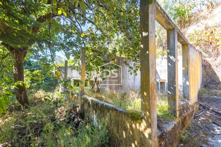 Quinta T0 para Venda em Santa Maria de Sardoura Foto 32