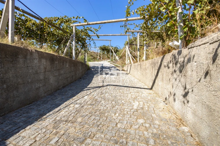 Quinta T0 para Venda em Santa Maria de Sardoura Foto 17