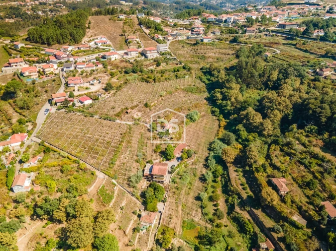 Quinta T0 para Venda em Santa Maria de Sardoura Foto 12