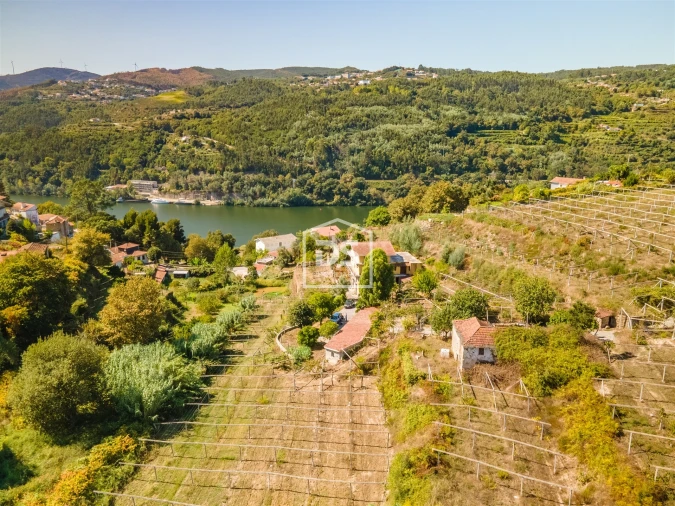 Quinta T0 para Venda em Santa Maria de Sardoura Foto 5