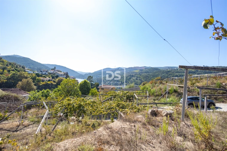 Quinta T0 para Venda em Santa Maria de Sardoura Foto 18