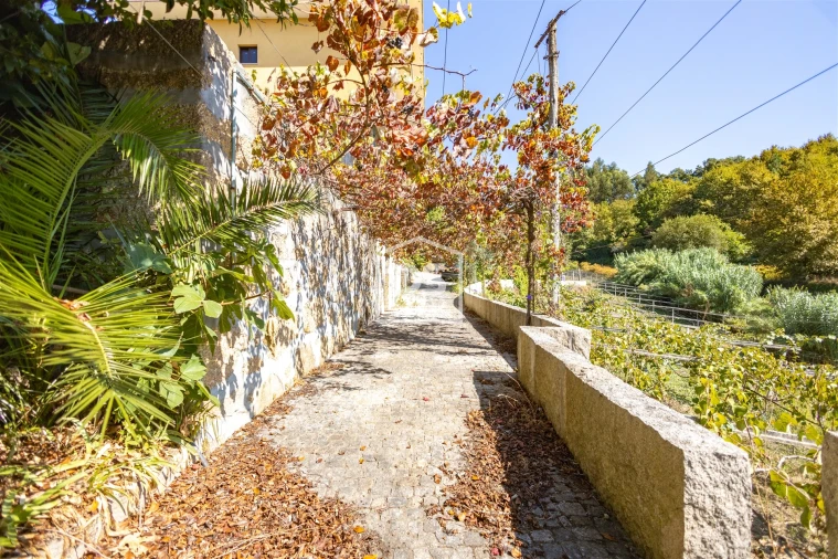 Quinta T0 para Venda em Santa Maria de Sardoura Foto 22