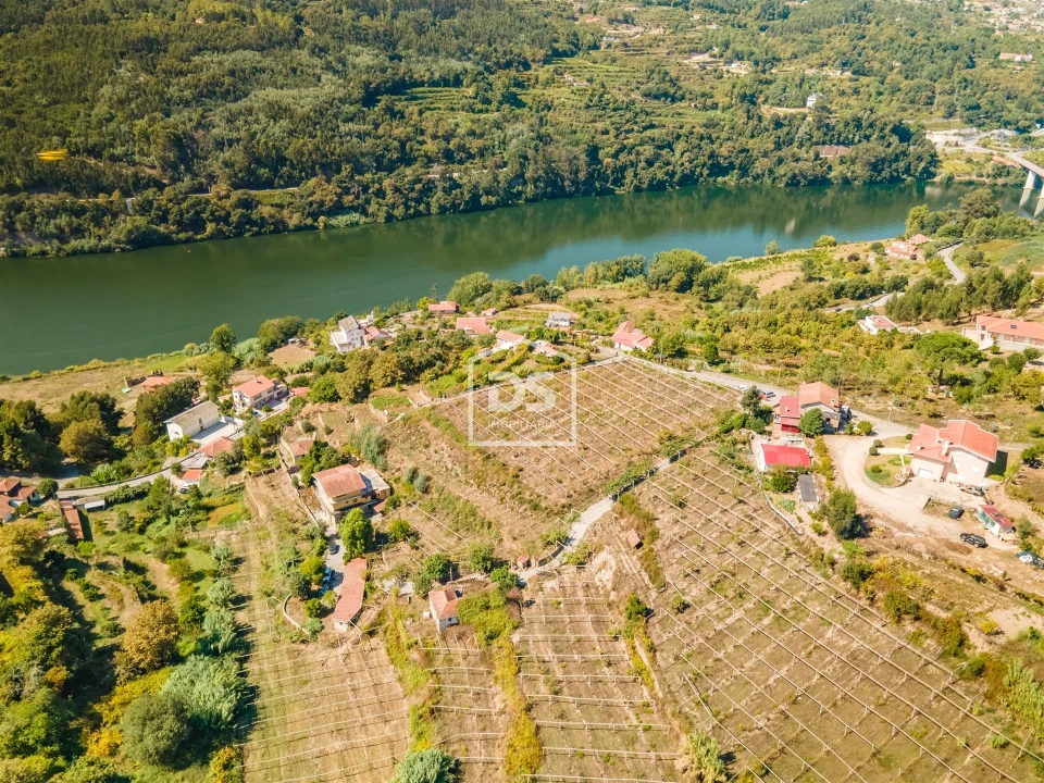 Quinta T0 para Venda em Santa Maria de Sardoura Foto 9