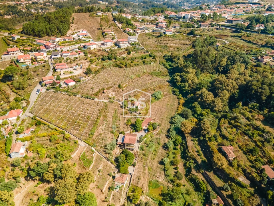 Quinta T0 para Venda em Santa Maria de Sardoura Foto 12