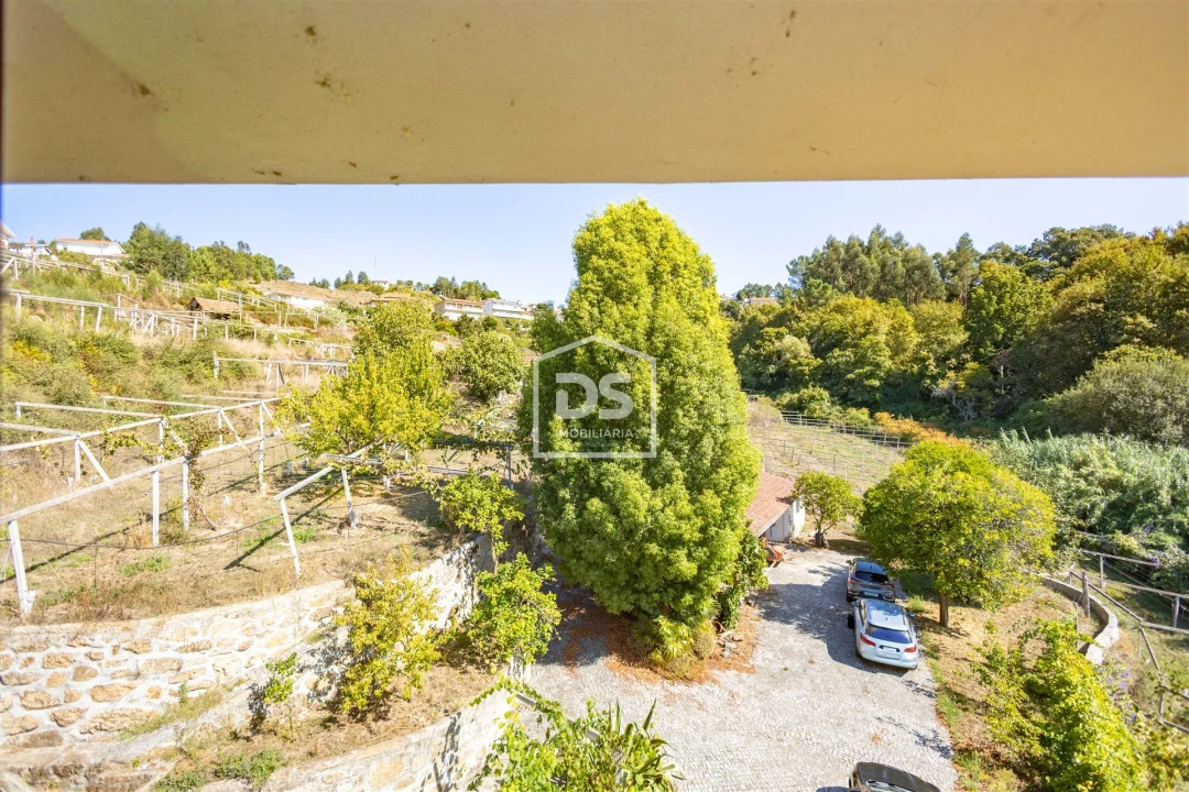 Quinta T0 para Venda em Santa Maria de Sardoura Foto 25