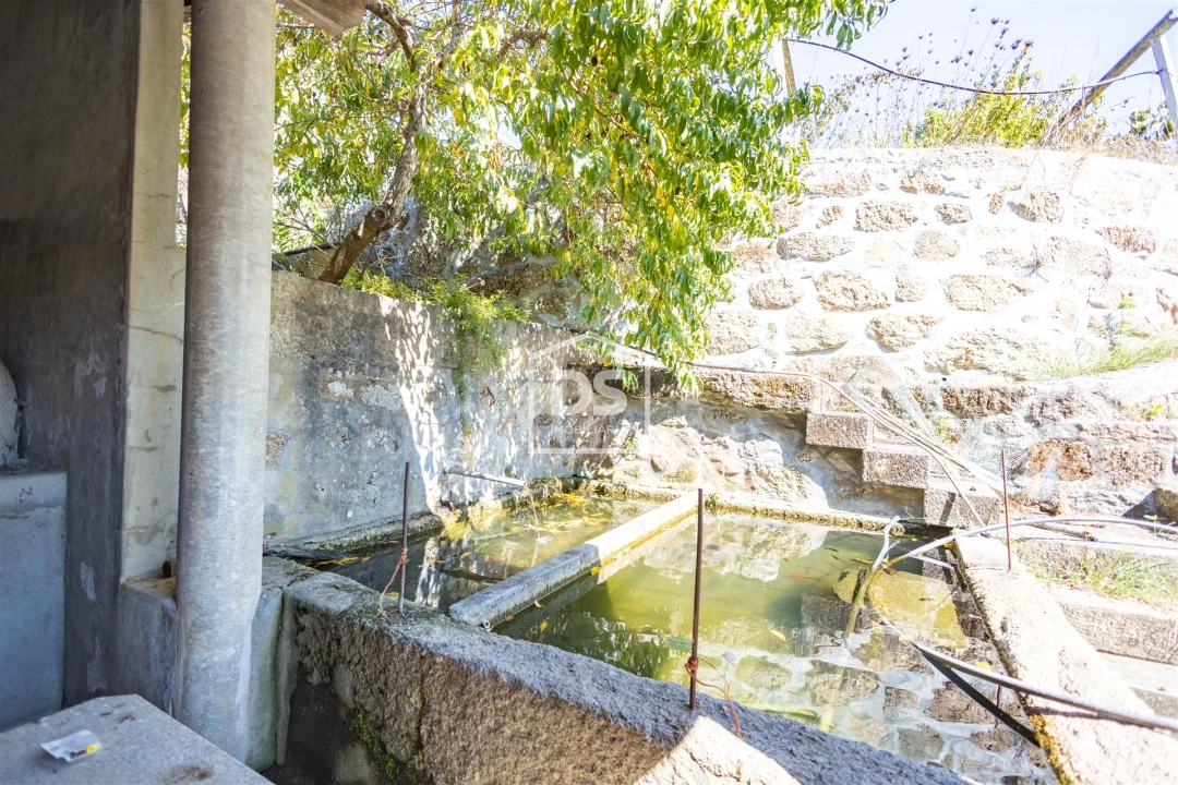 Quinta T0 para Venda em Santa Maria de Sardoura Foto 33