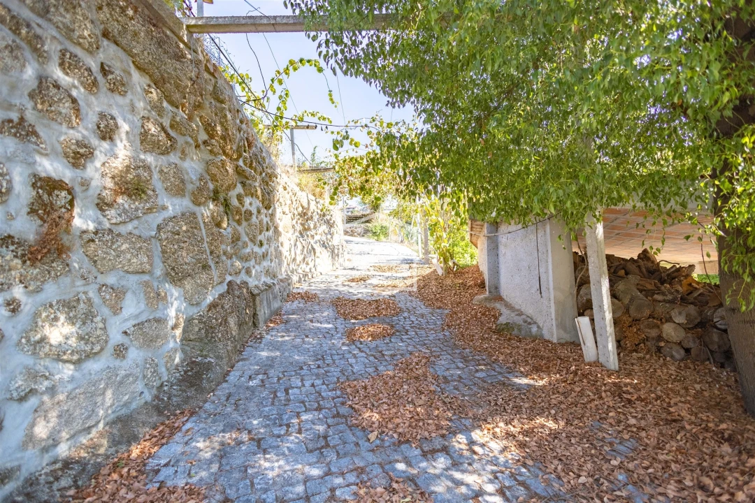 Quinta T0 para Venda em Santa Maria de Sardoura Foto 54