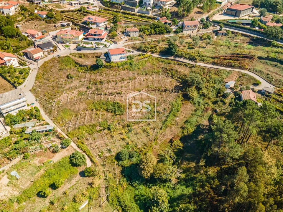 Quinta T0 para Venda em Santa Maria de Sardoura Foto 8