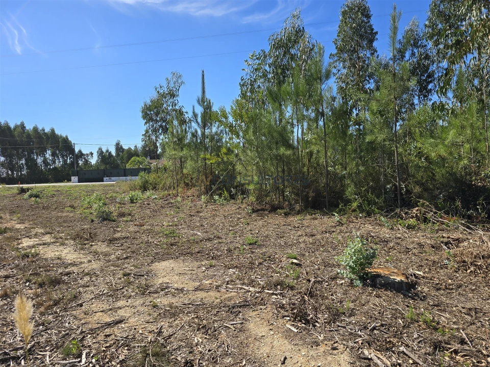 Terreno Agricola ou Rústico para Venda em Soza Foto 16