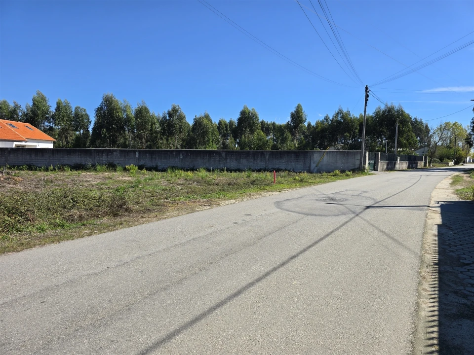 Terreno Agricola ou Rústico para Venda em Soza Foto 3