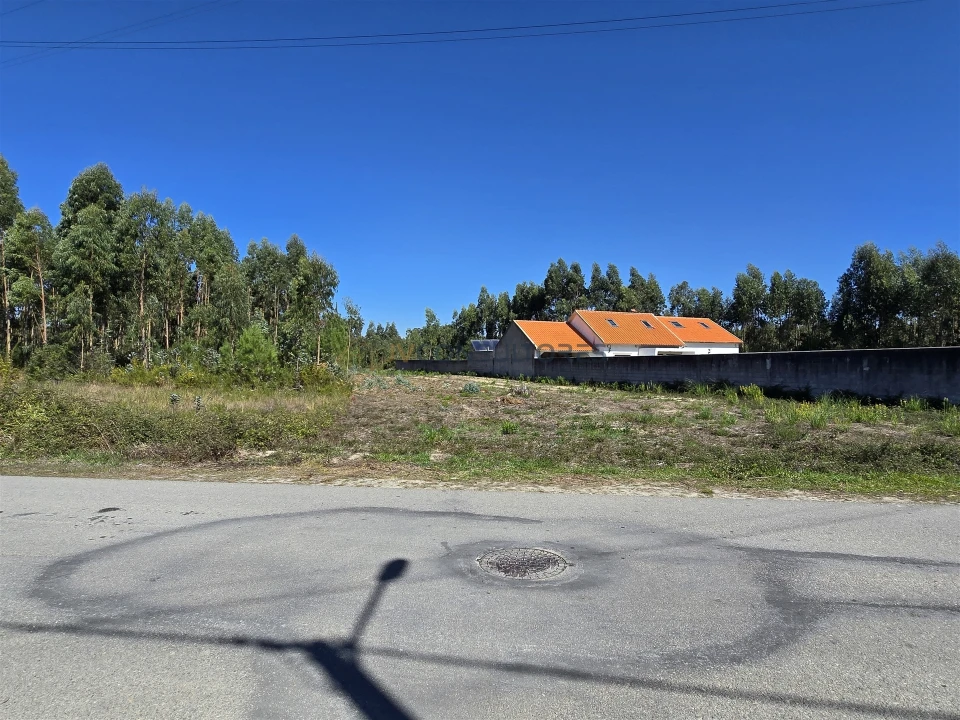 Terreno Agricola ou Rústico para Venda em Soza Foto 14