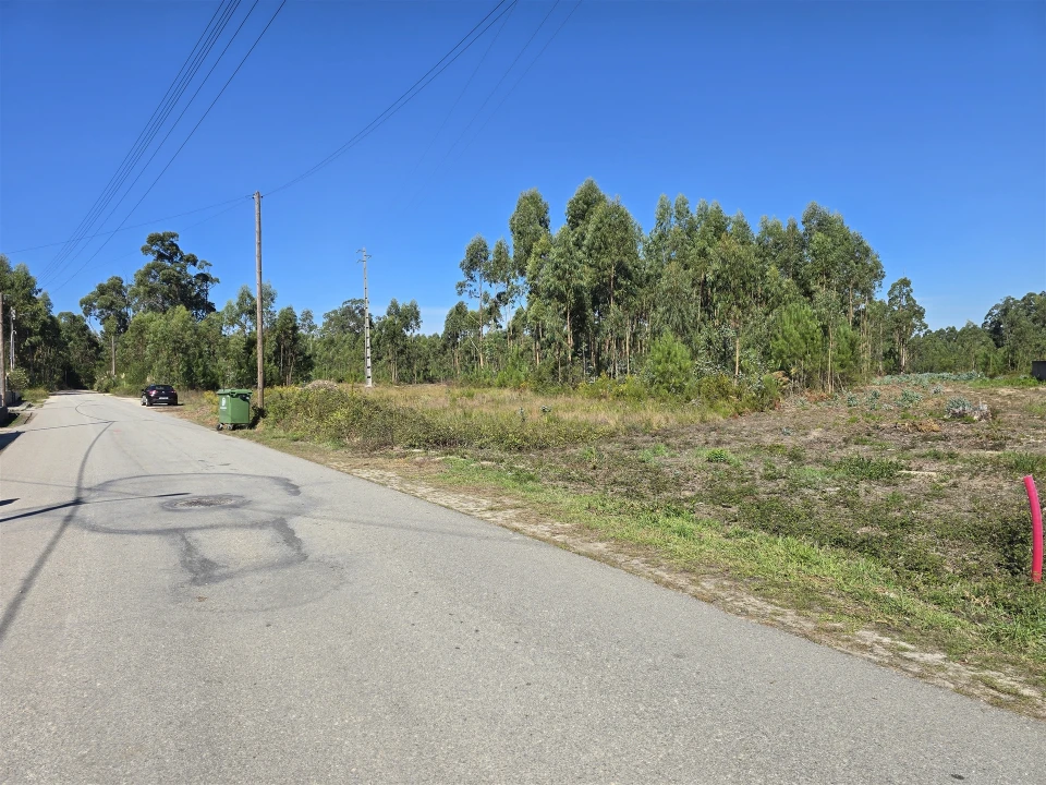 Terreno Agricola ou Rústico para Venda em Soza Foto 5