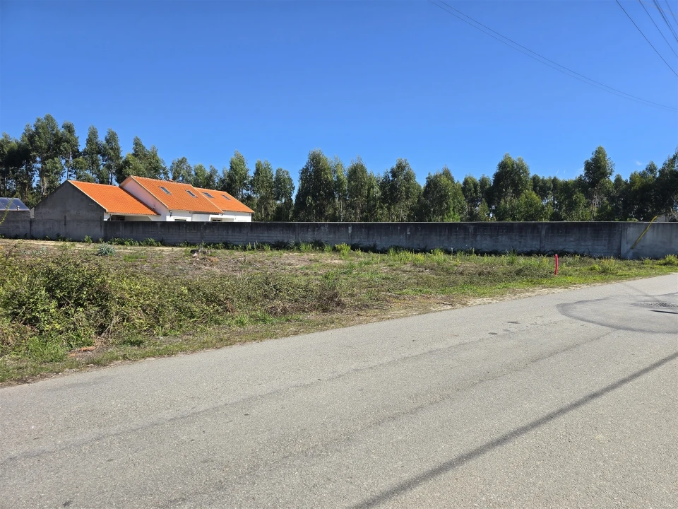 Terreno Agricola ou Rústico para Venda em Soza Foto 2