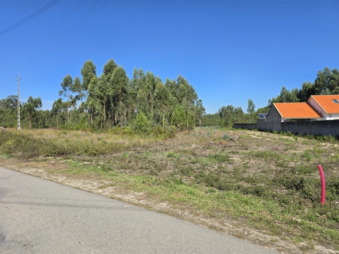Terreno Agricola ou Rústico para Venda em Soza Foto 4