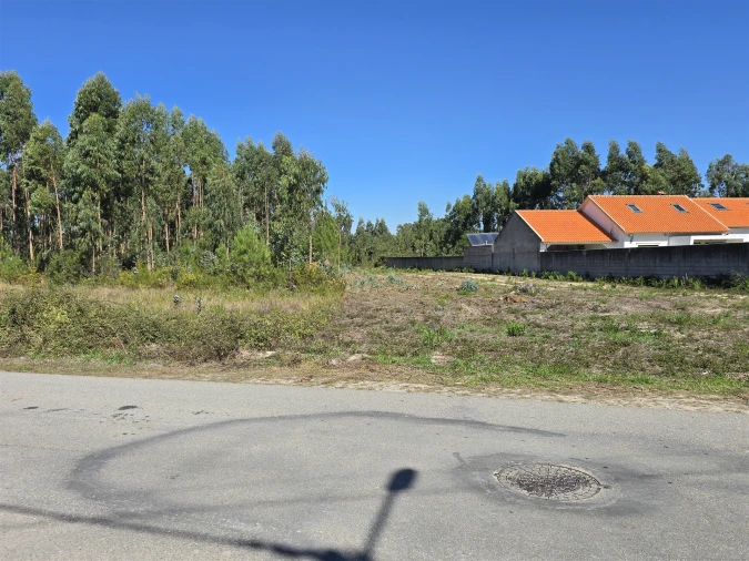 Terreno Agricola ou Rústico para Venda em Soza Foto 6