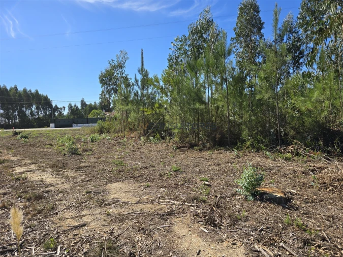 Terreno Agricola ou Rústico para Venda em Soza Foto 16