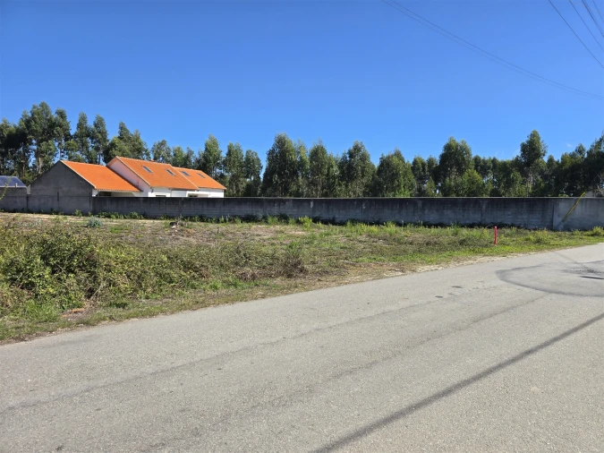 Terreno Agricola ou Rústico para Venda em Soza Foto 2