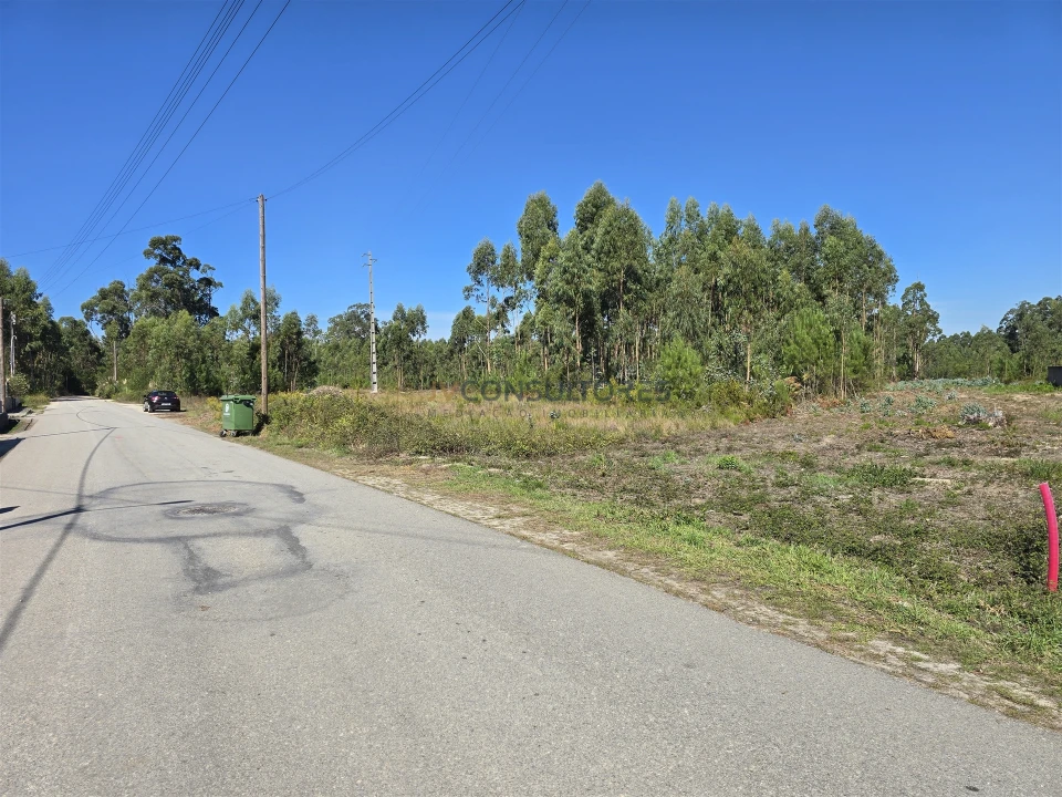 Terreno Agricola ou Rústico para Venda em Soza Foto 12