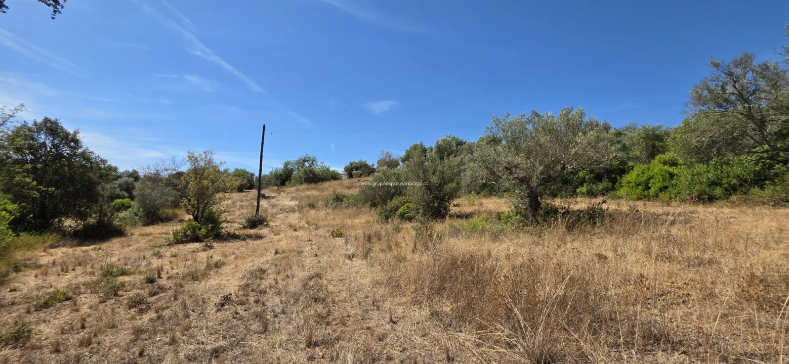 Moradia T2 para Venda em Moncarapacho e Fuseta Foto 21