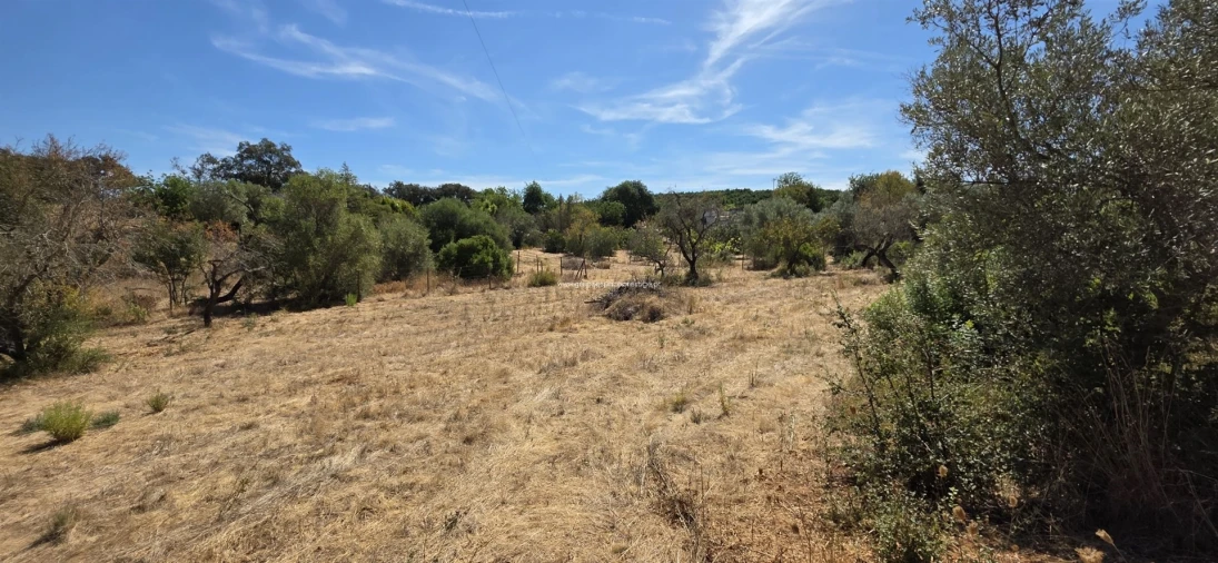 Moradia T2 para Venda em Moncarapacho e Fuseta Foto 19