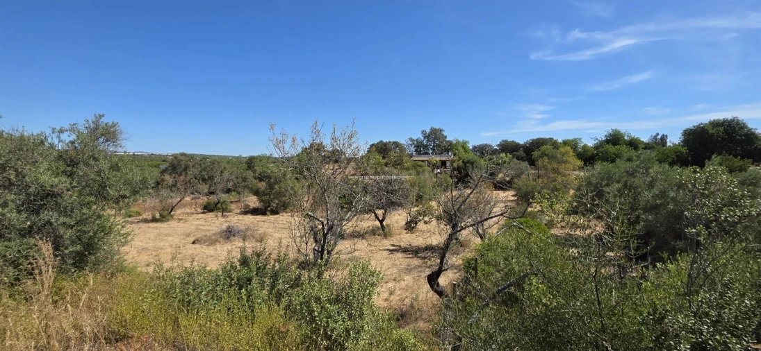 Moradia T2 para Venda em Moncarapacho e Fuseta Foto 23