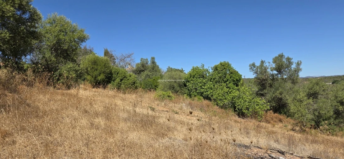 Moradia T2 para Venda em Moncarapacho e Fuseta Foto 20