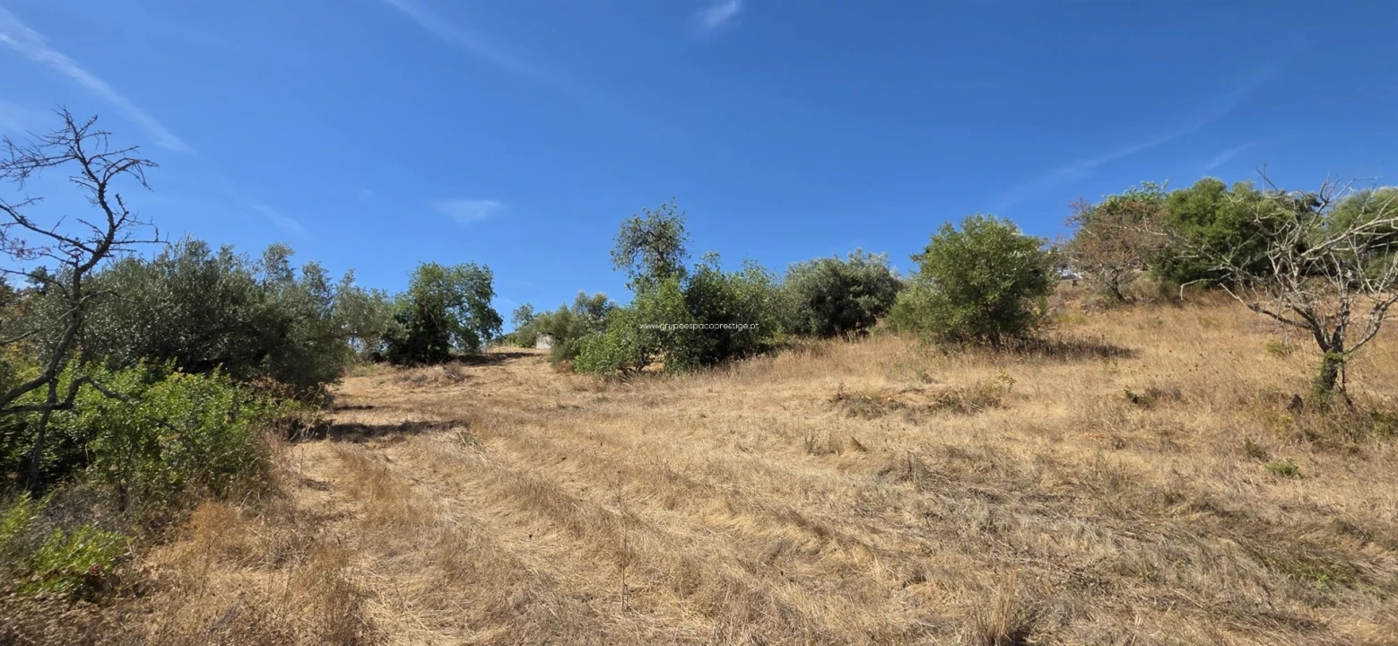 Moradia T2 para Venda em Moncarapacho e Fuseta Foto 22