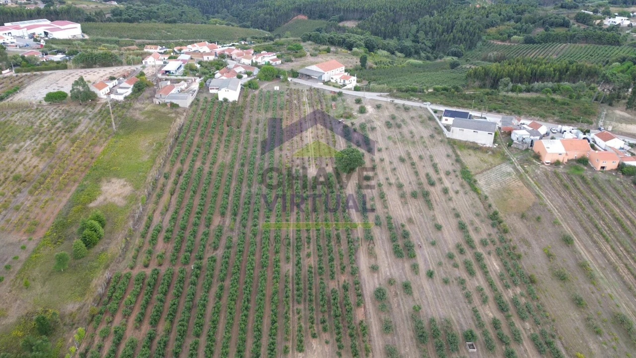 Terreno para Venda em Carvalhal Foto 9