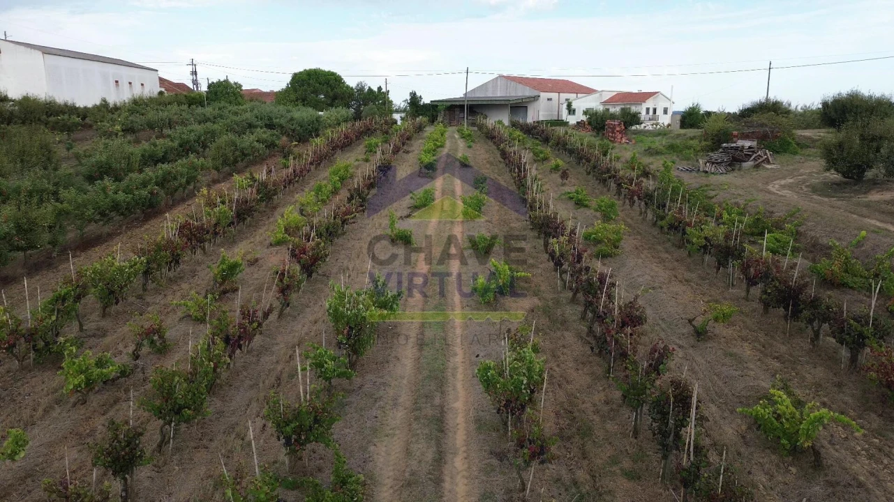 Terreno para Venda em Carvalhal Foto 14