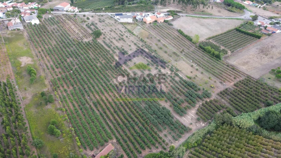 Terreno para Venda em Carvalhal Foto 6