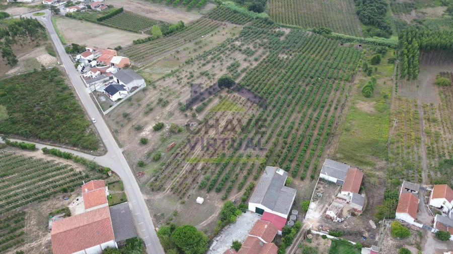 Terreno para Venda em Carvalhal Foto 5