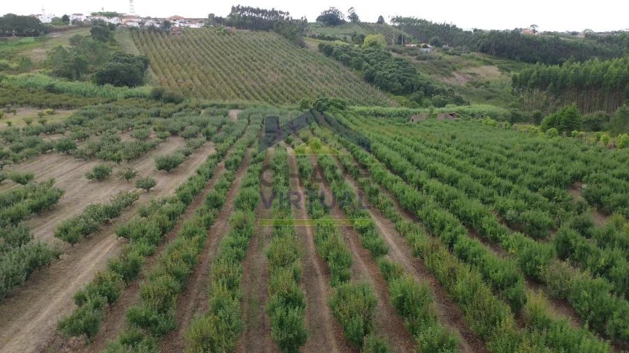 Terreno para Venda em Carvalhal Foto 12