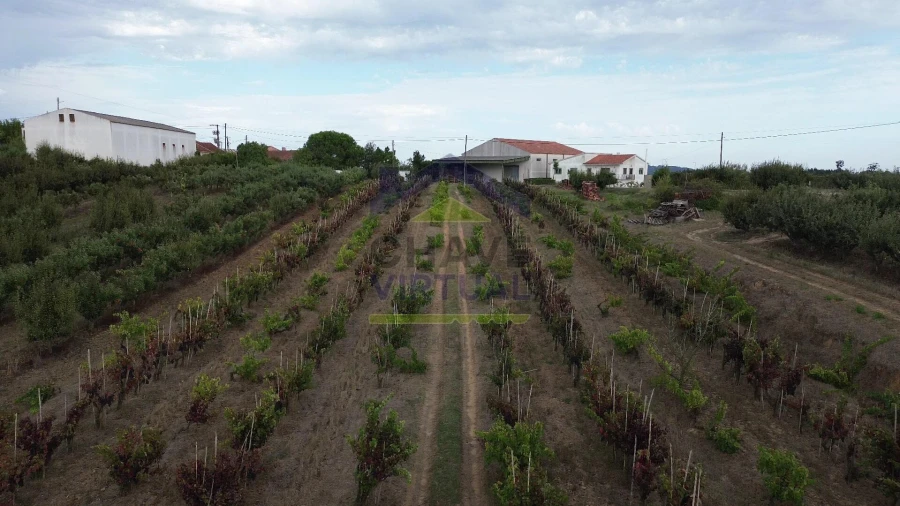 Terreno para Venda em Carvalhal Foto 3