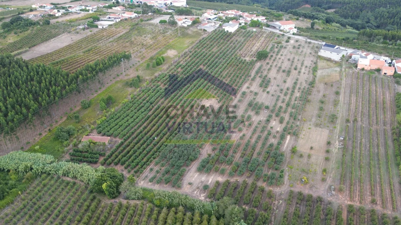 Terreno para Venda em Carvalhal Foto 2