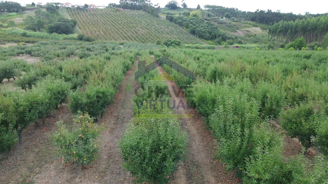 Terreno para Venda em Carvalhal Foto 11