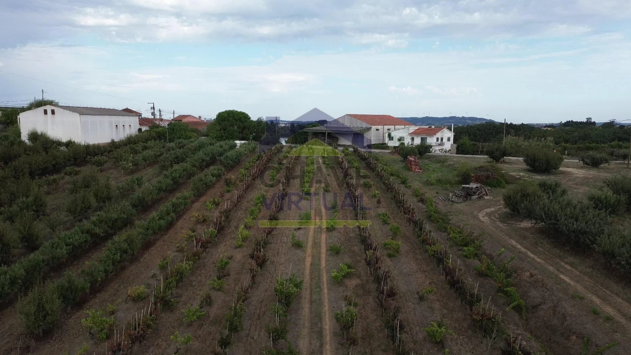 Terreno para Venda em Carvalhal Foto 13