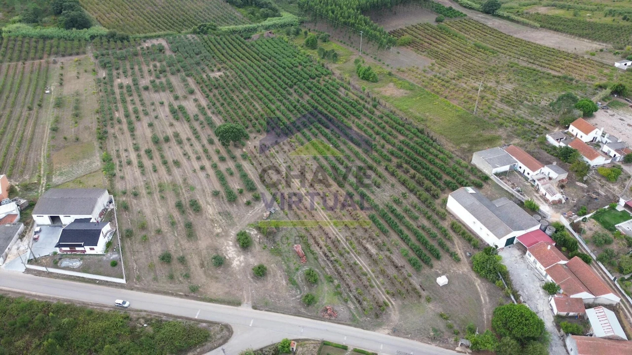 Terreno para Venda em Carvalhal Foto 4