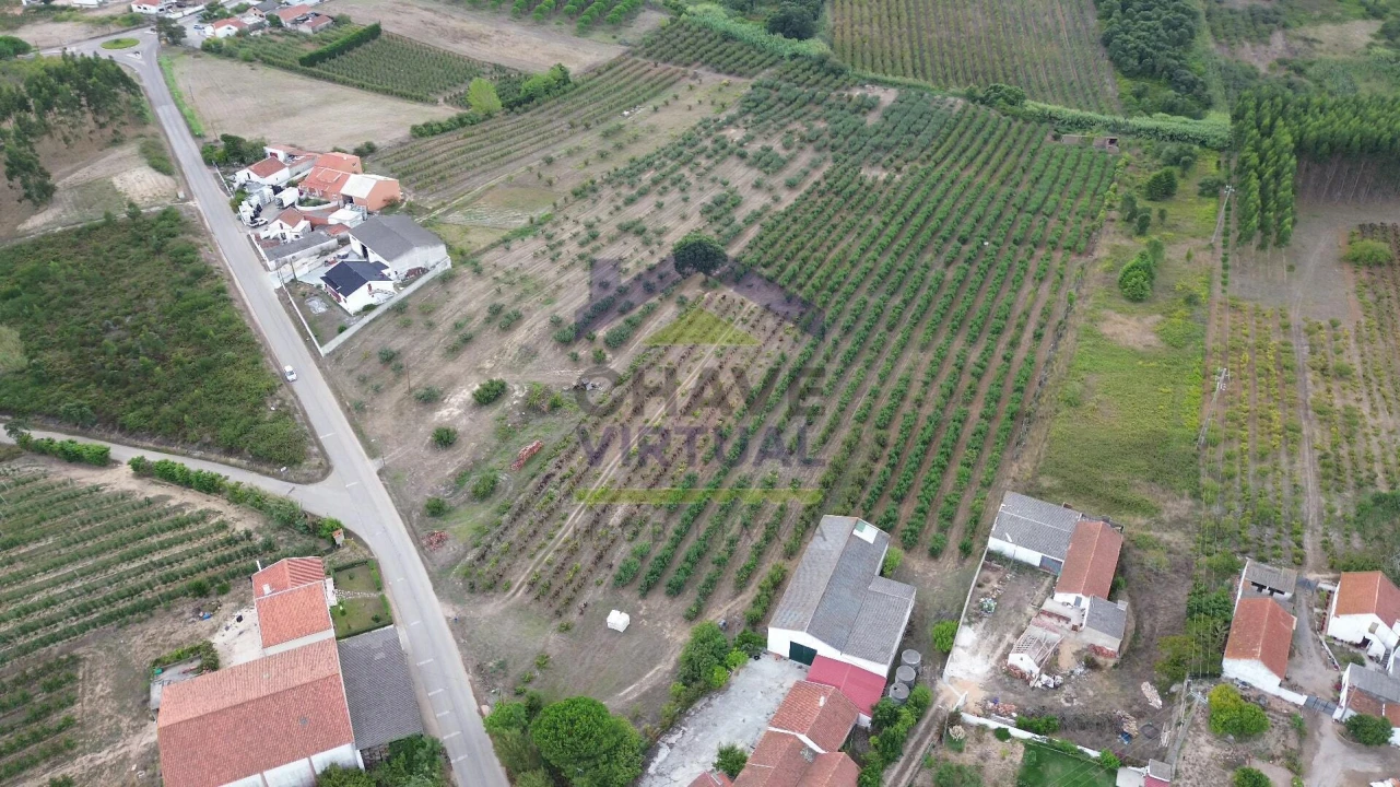 Terreno para Venda em Carvalhal Foto 5