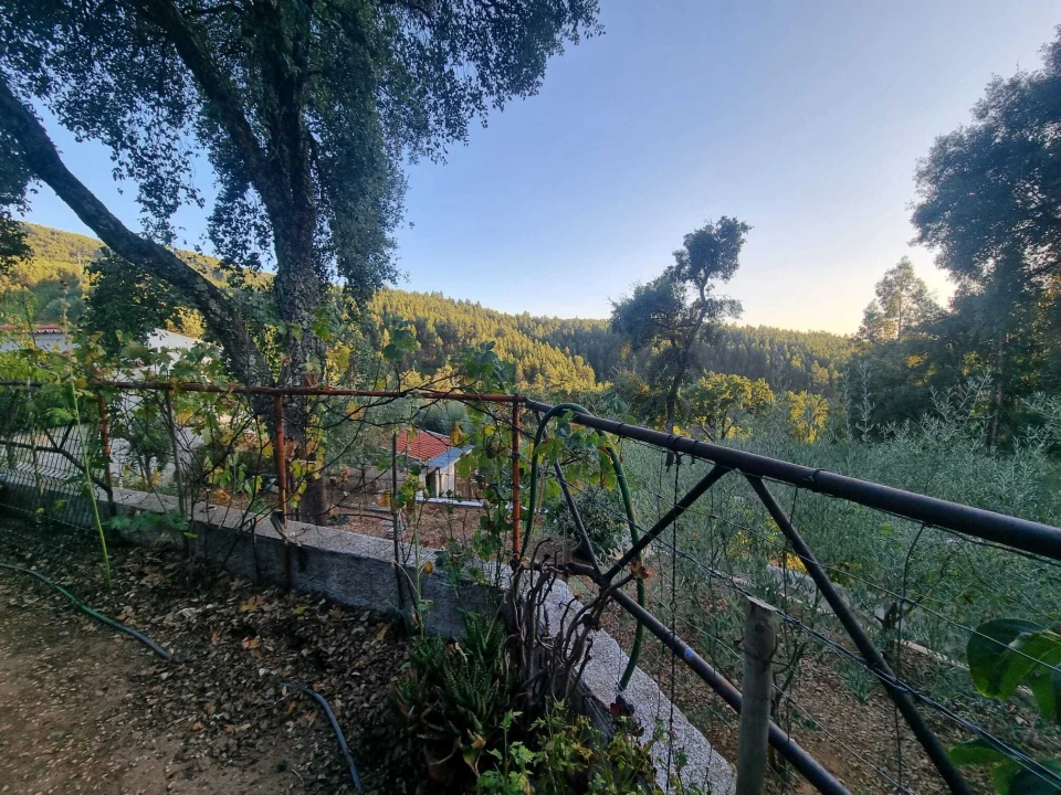 Terreno para Venda em Pedrogão Pequeno Foto 14