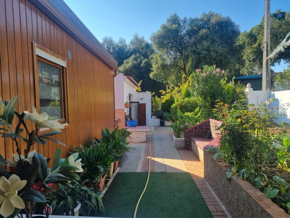 Terreno para Venda em Pedrogão Pequeno Foto 2